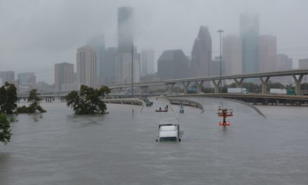 Hurricane Relief, a Pro-Business Administration and Self-Driving Cars
