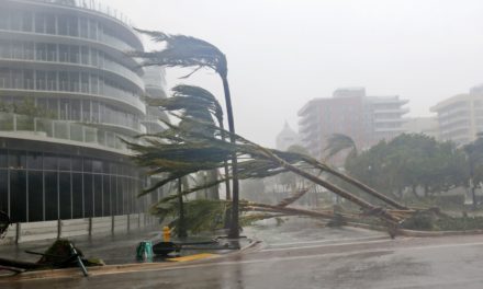 Exaggerated Reports of Hurricane Irma’s Impact