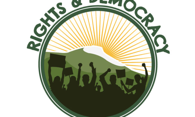 The Rights and Democracy Questionnaire