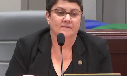 Democratic aldermen attempt to impose Ward 7 school board pick